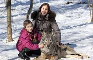 زندگی صمیمی یک خانواده با گرگ های وحشی