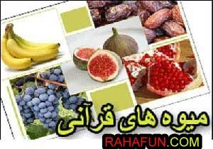 دانستنی های جالب درباره میوه های قرآنی