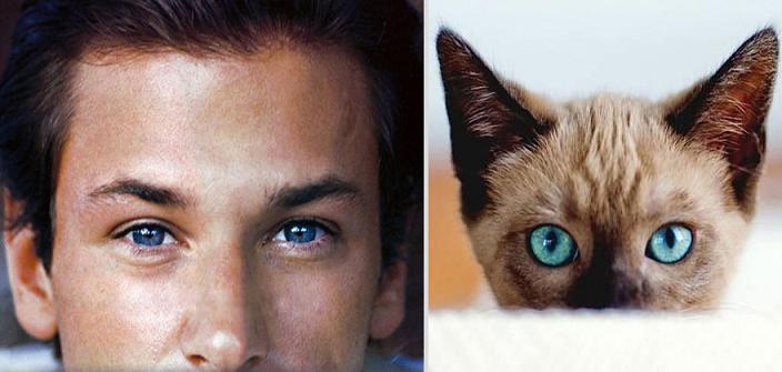 عکس های جالب تشابه پسرها و گربه ها 