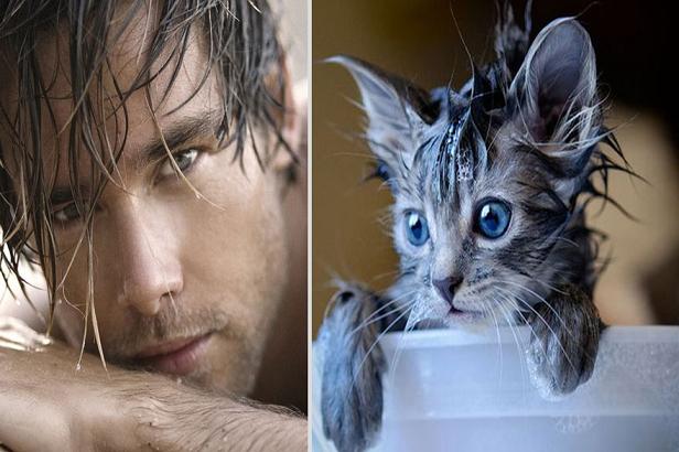 عکس های جالب تشابه پسرها و گربه ها 1