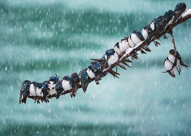 عکس های جالب از فصل زمستان
